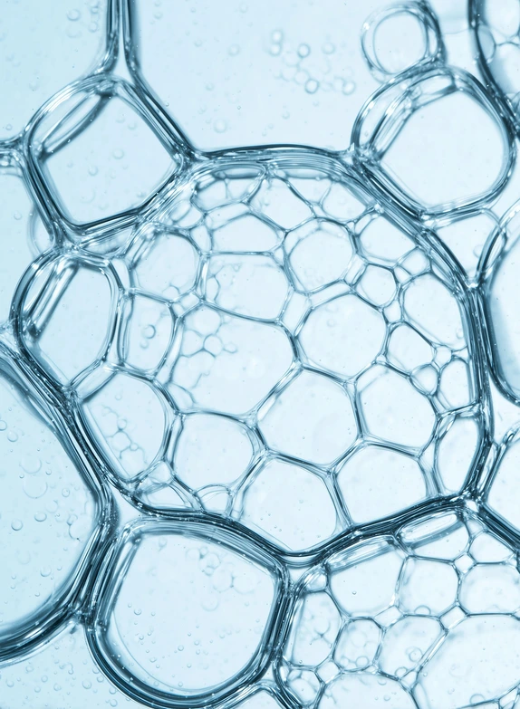 Macro of translucent blue bubble cells