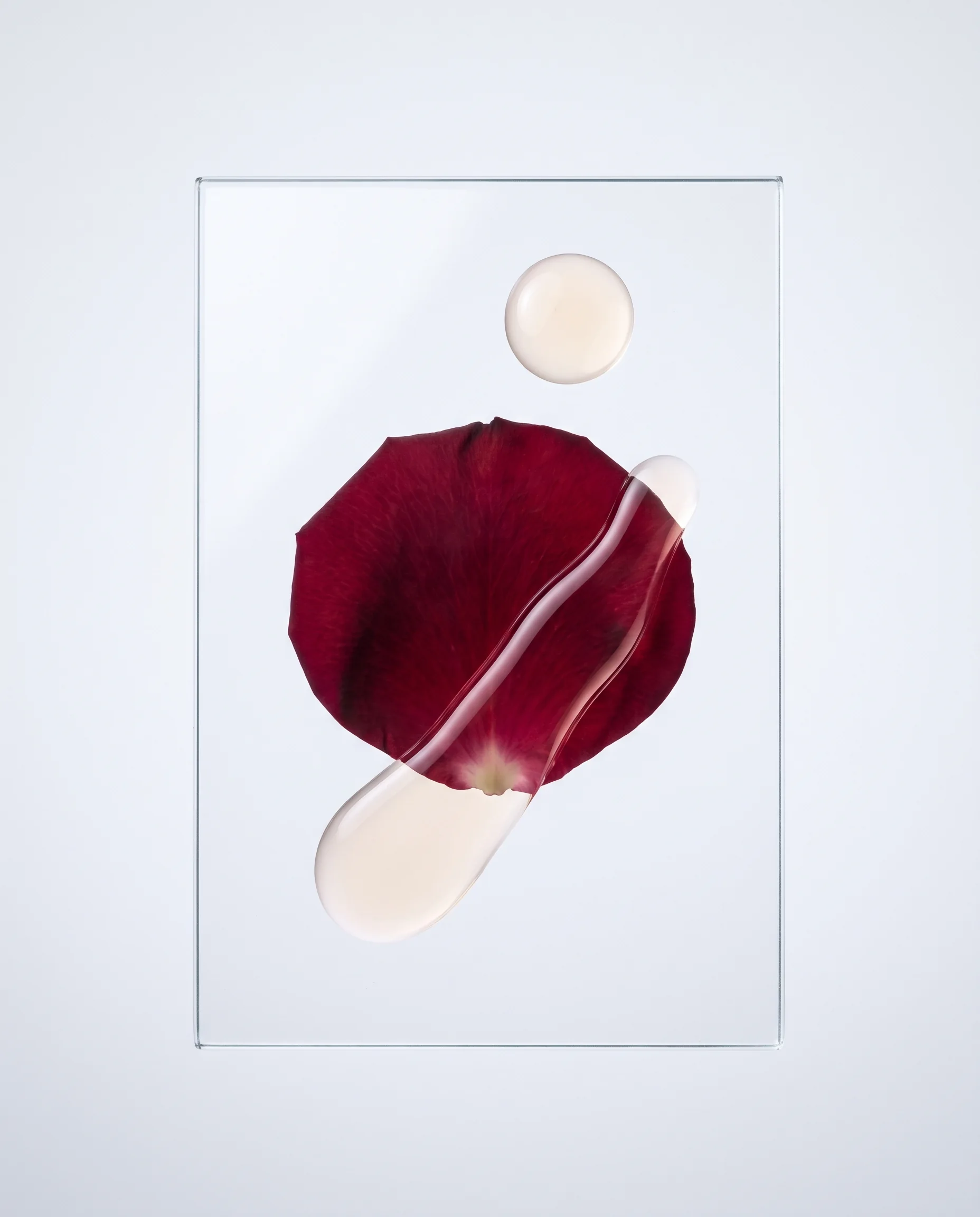 AI-generated rose petal and serum drops on a glass slide